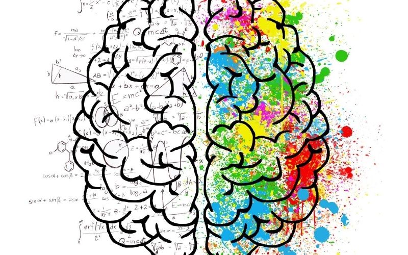 Sketch of brain with half having math signs and half with colors.