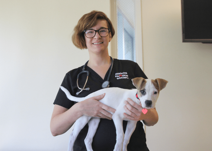 Dr. Jennifer Morris of the Atlanta humane society with a puppy