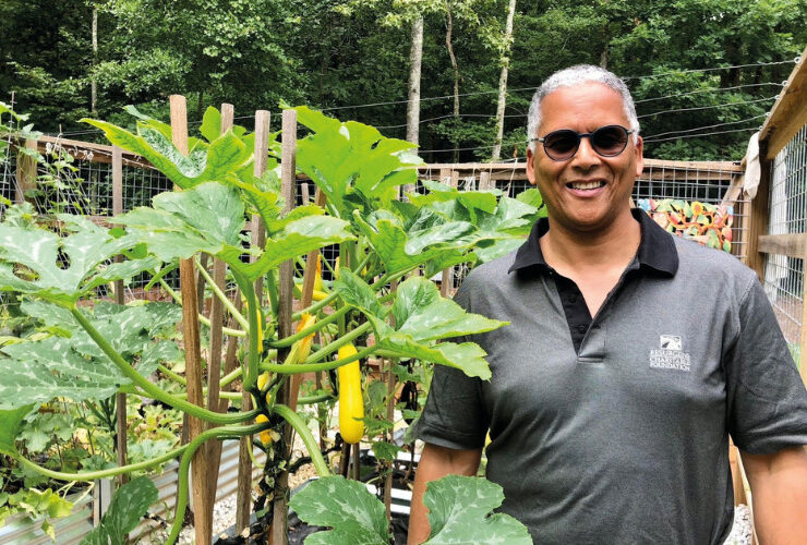 Dr Robert Greenfield