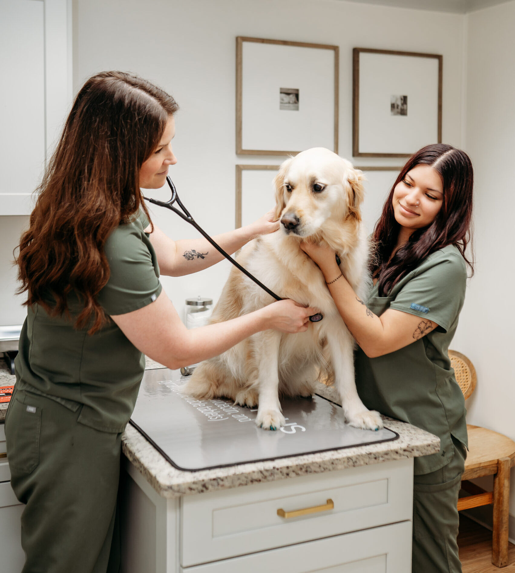 Providence Veterinary Clinic