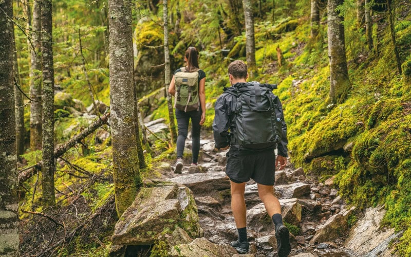 Hiking